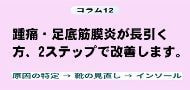コラム12案内画像
